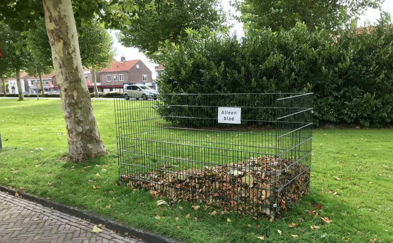 bladkorf in Hollands Kroon