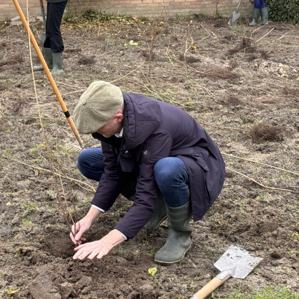 Wethouder Robert Leever plant een struik.