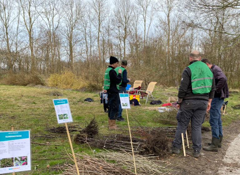 Meer bomen nu, foto van zaailingen en vrijwilliegers