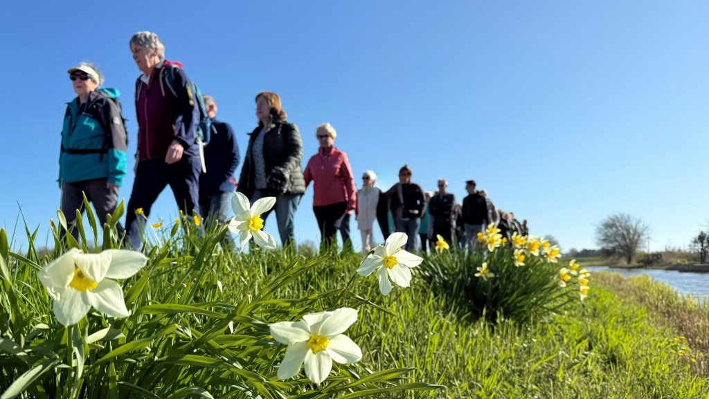 Groepje wandelaars top het Noord-Hollandpad