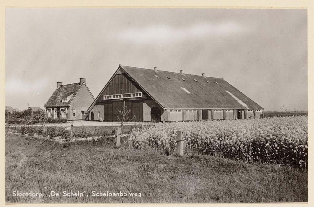 collectie Regionaal Archief Alkmaar Fotocollectie gemeente Wieringermeer 22577