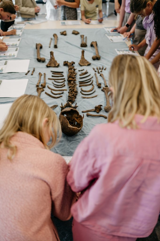 Educatieproject Koeienkerk