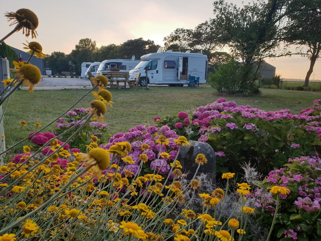 Camperplaatsen bij familie Munster.
