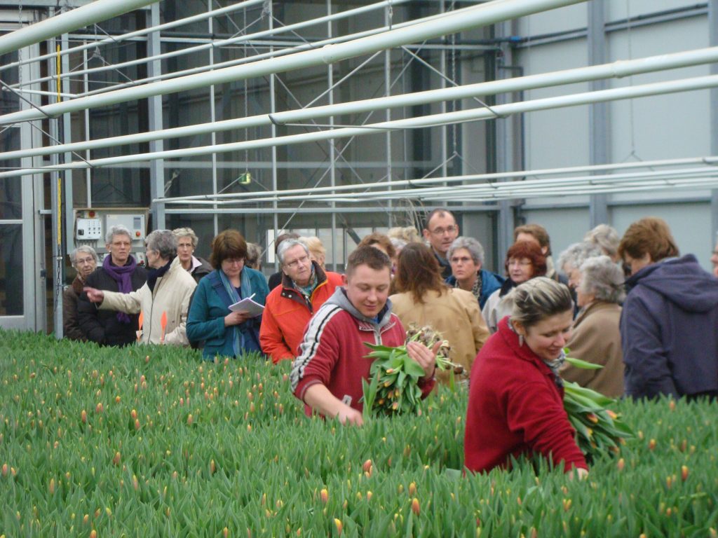 Tulpenexcursie door de broeierij van Siem Munster.