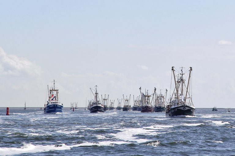 Versierde kotters op de Waddenzee tijdens de Flora en Visserijdagen. (foto: aangeleverd Flora- en Visserijdagen)