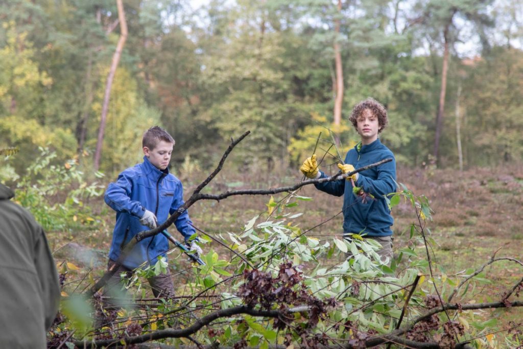 Natuurwerkdag staatsbosbeheer Robbenoordbos