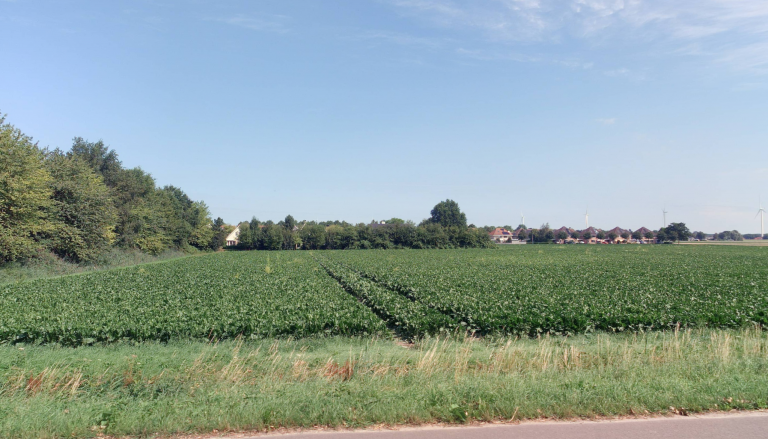 Dorsmolen oost - Wieringerwerf foto