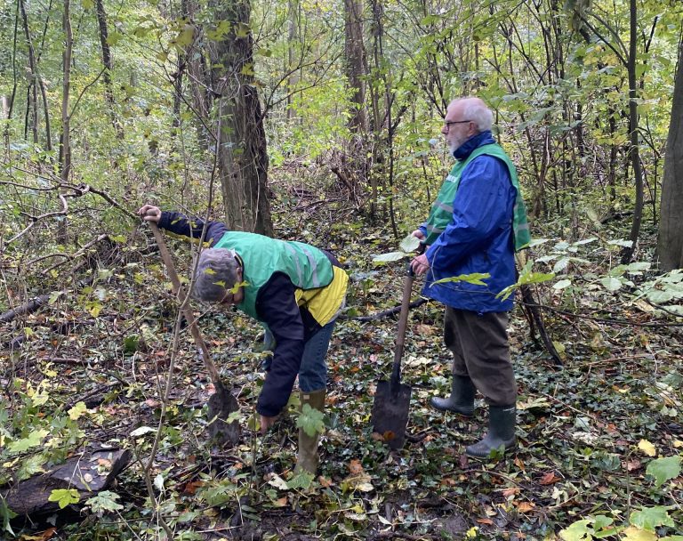 Meer bomen nu - help mee met bomen zaaien