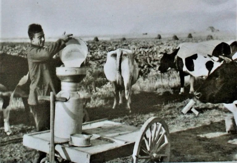 Max de Vries in het Joods Werkdorp Wieringermeer. Copyright Erven Julius Reutlinger.