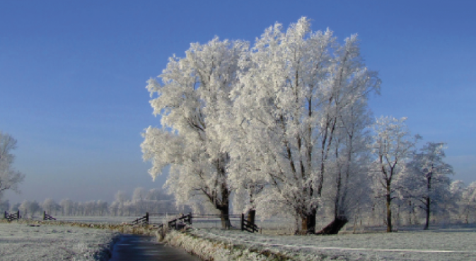 Beeld van een besneeuwd Hollands Kroon