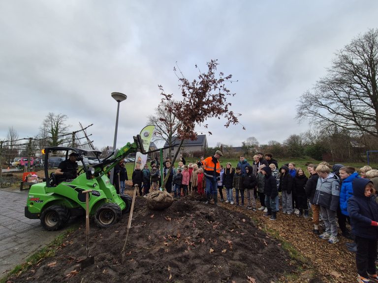 plantenestafette boom planten