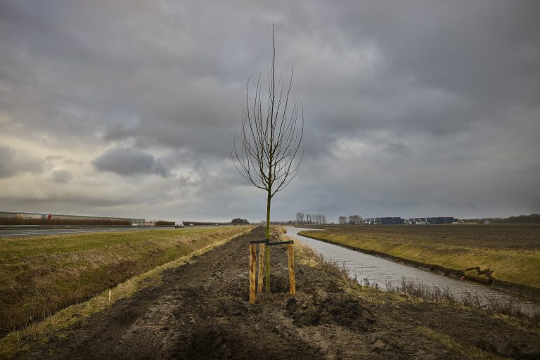 Eerste boom plot B
