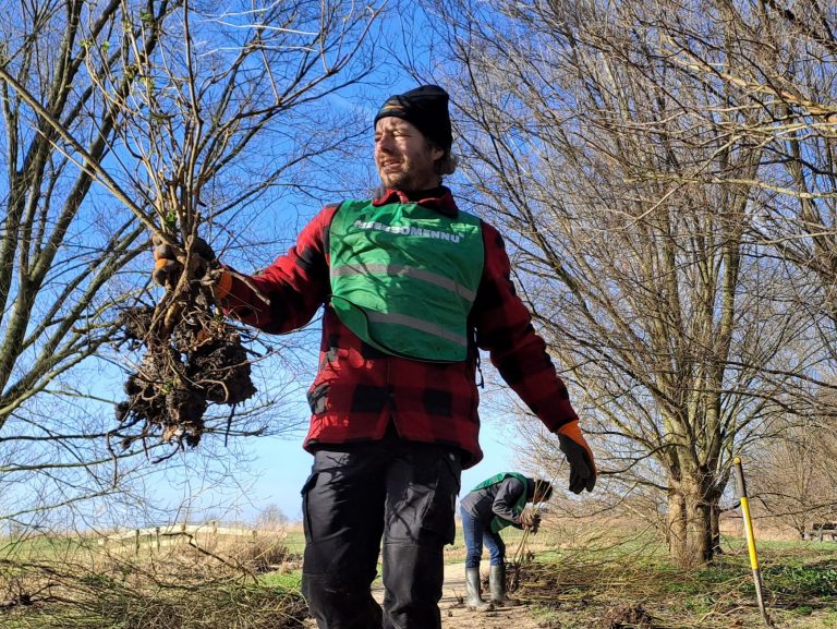 vrijwilliger meer bomen nu met een geoogst boomje