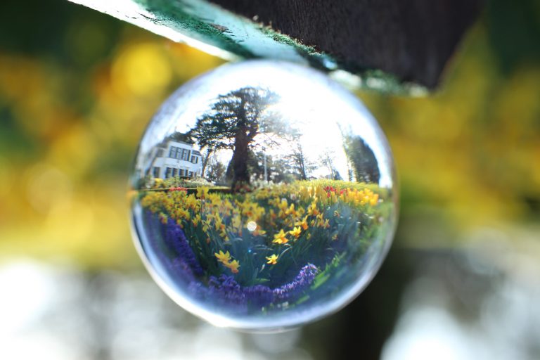 Lente in Hollands Kroon in de Poldertuin in Anna Paulowna. Foto van een druppel met erin mooie bloemen