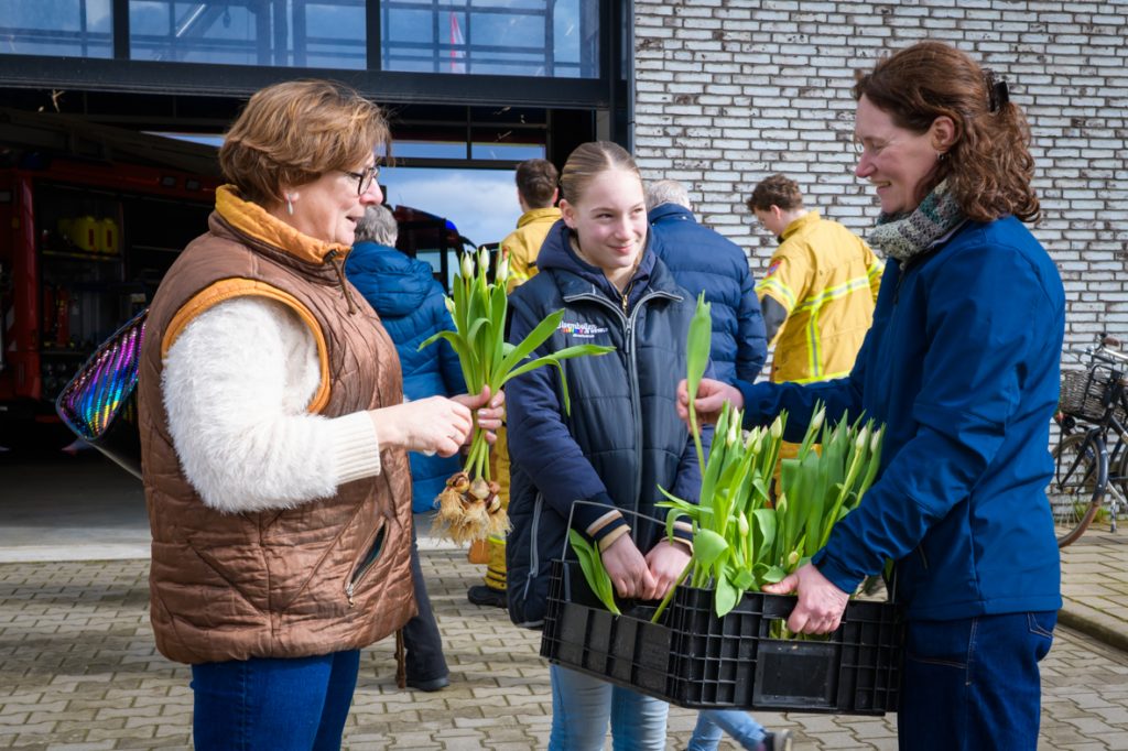 Tulpen plukken - Kom binnen bij bedrijven dagen 2026