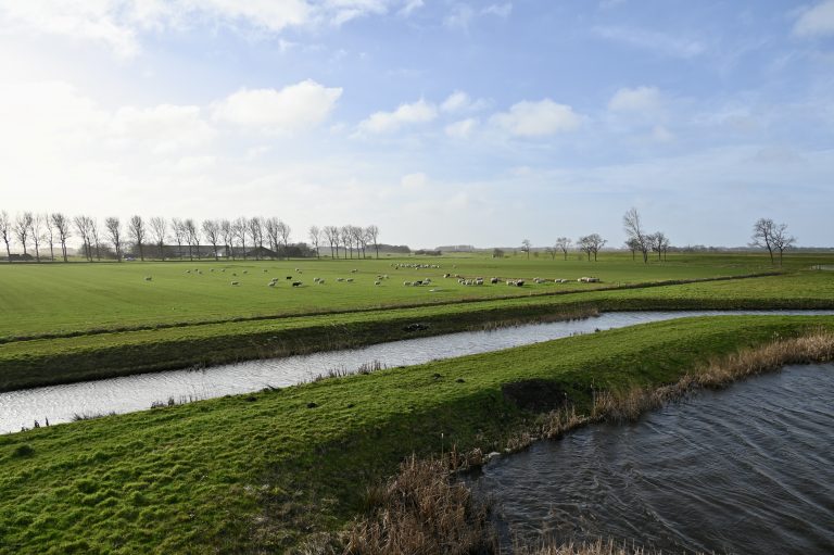 Landerijen in de Wieringermeer