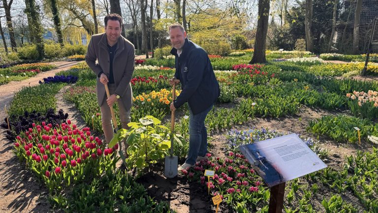 Wethouder Mark Versteeg (links) met voorzitter van de Poldertuin Jaap Rozenbroek (rechts) plantten een Anna Paulowna-boom in de Poldertuin