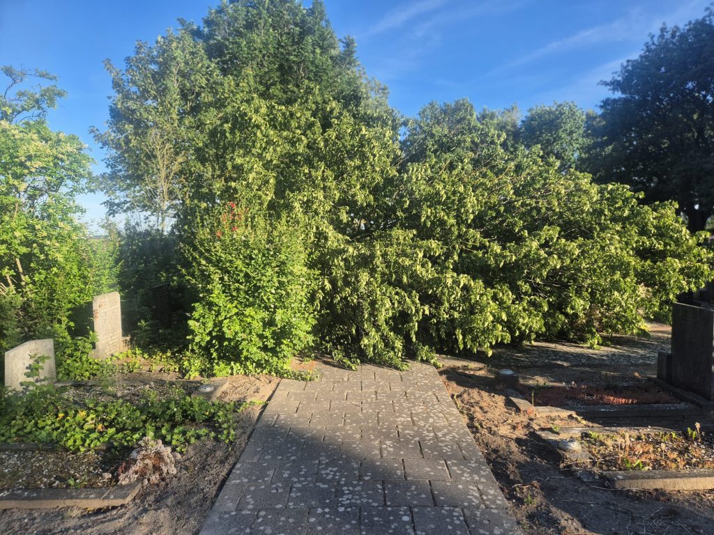 Bomen op begraafplaats zijn omgevallen na de storm