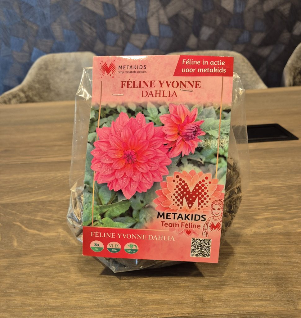 De speciaal ontwikkelde Dahlia Féline Yvonne staan op tafel