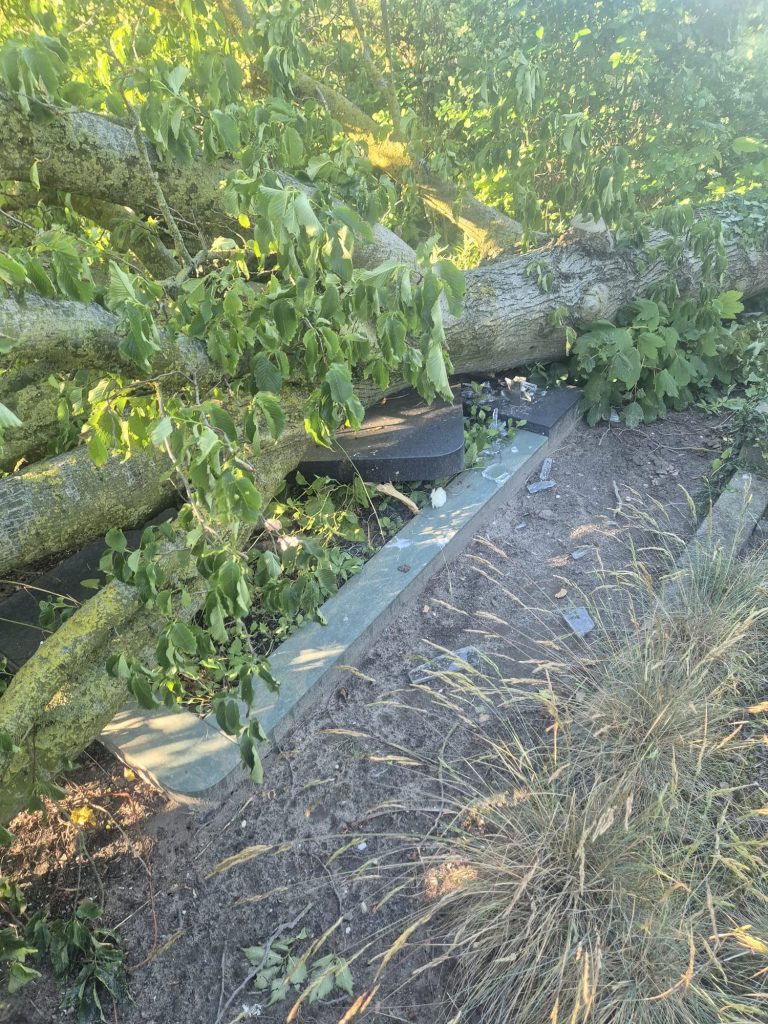 Graven beschadigd na storm door omgevallen boom