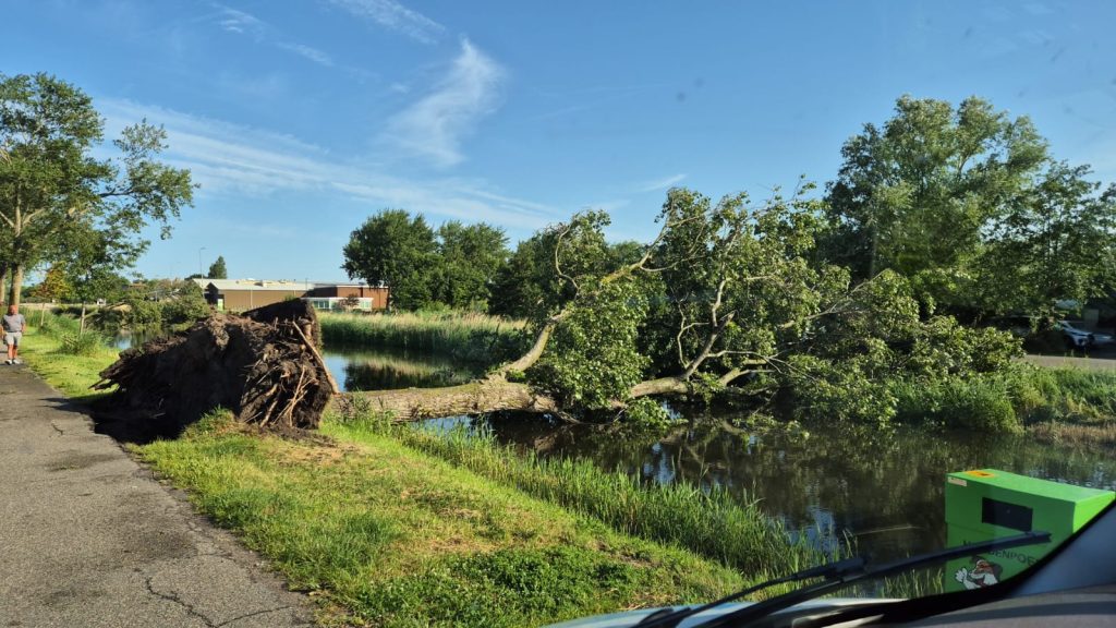 Omgevallen boom na storm 19 en 20 juni 2026