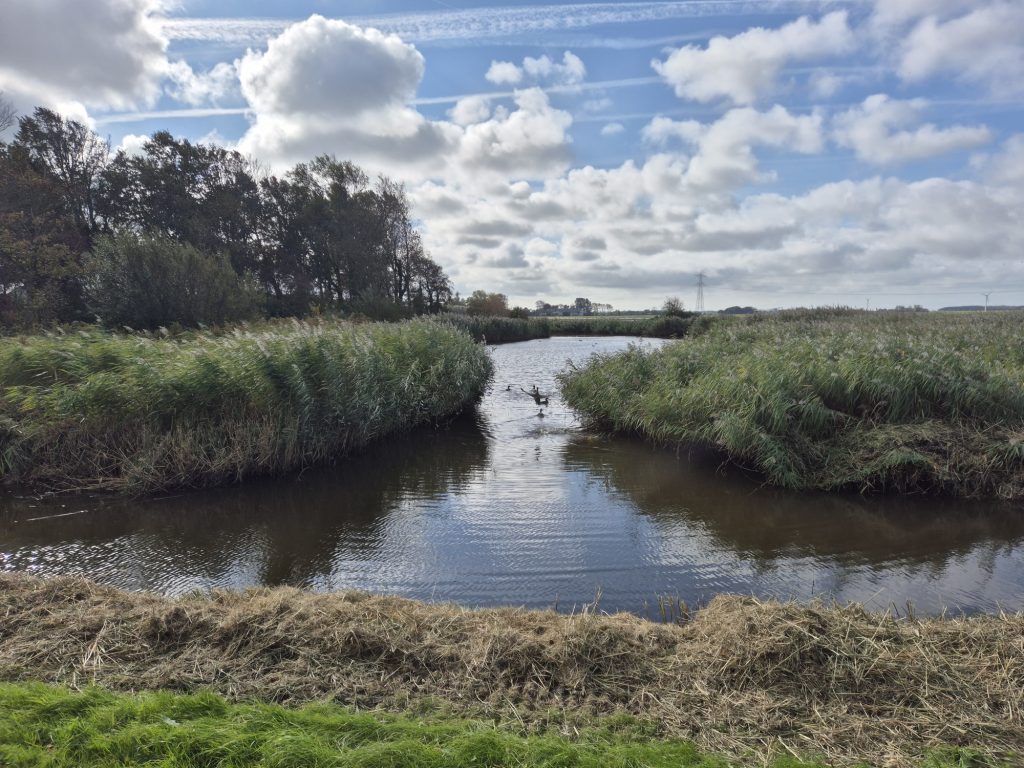 Uitzicht vanaf de natuurbegraafplaats