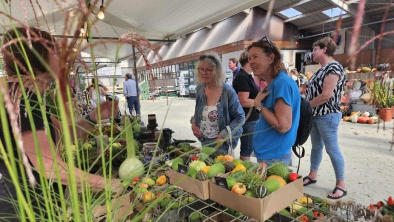 Boerenversmarkt Middenmeer mensen voor een kraampje met verschillende verse producten