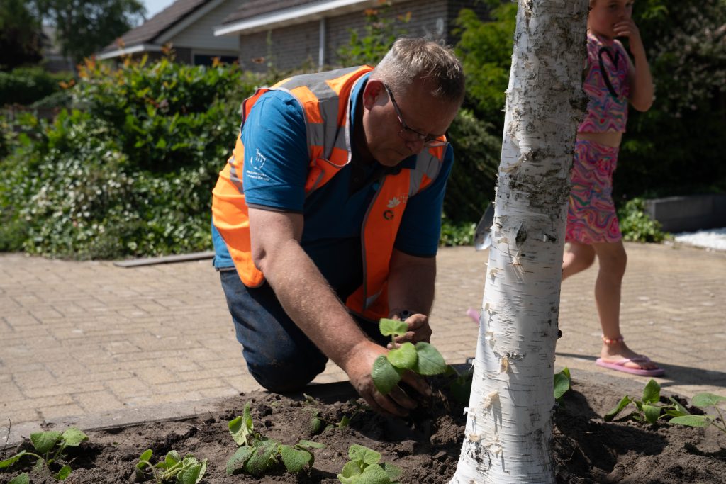 Collega plant plantjes naast een boom in de openbare ruimte tijdens Hollands Kroon in 1 Dag Schoon