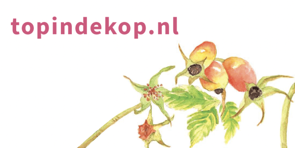 Top in de kop schets van een paar rozenbottels