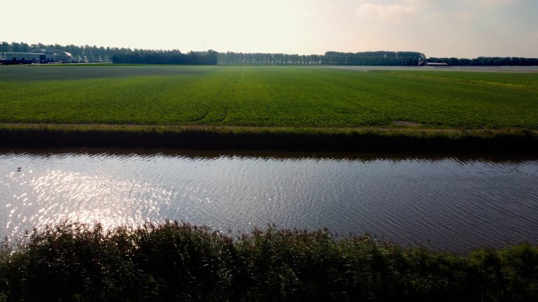 Landschap foto. Een weiland met daarnaast een sloot.