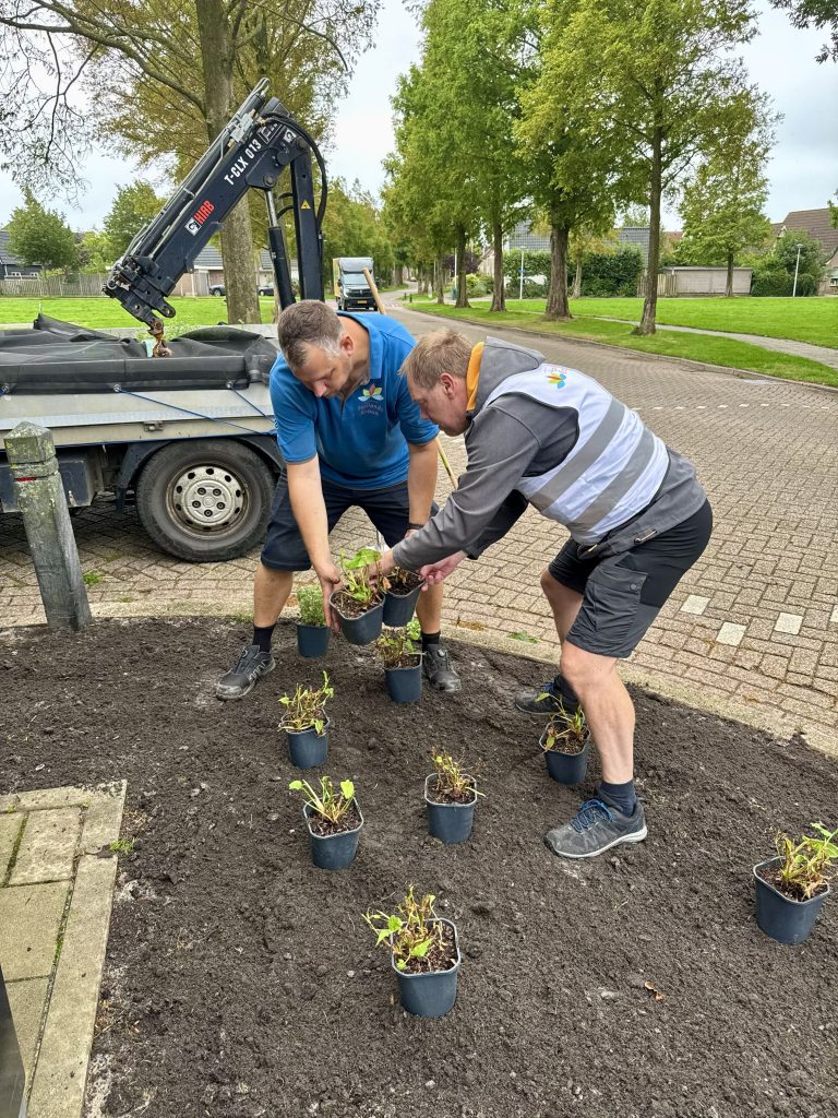 Medewerker van hollands kroon planten plantje op Hollands kroon in 1 dag schoon 2026
