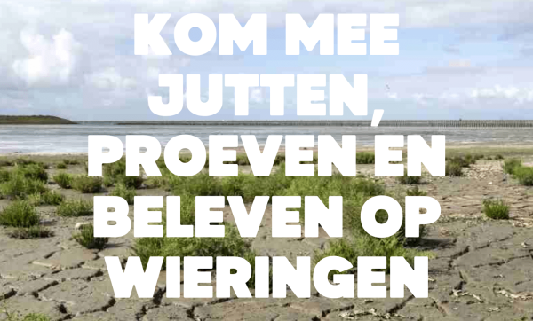 opruimactie langs het Wieringer Wad