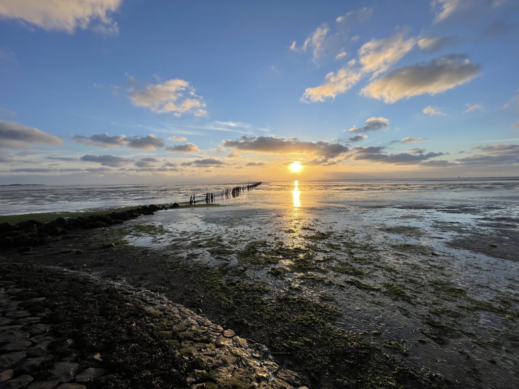 Zonsondergang boven de Waddenzee bij laagwater. De zon staat laag aan de horizon en weerspiegelt in het natte wad. Op de voorgrond liggen stenen en zeewier, terwijl een rij houten palen richting de zee loopt. Boven het uitgestrekte landschap hangt een blauwe lucht met verspreide wolken.